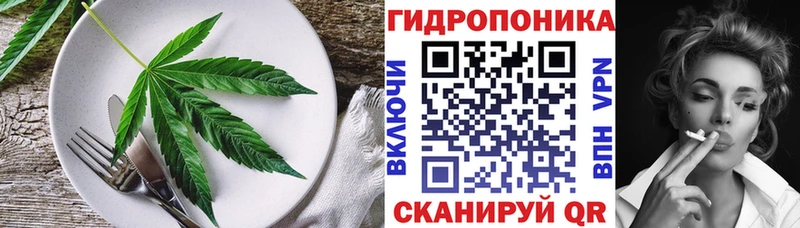 где найти наркотики  Пушкино  нарко площадка клад  Печенье с ТГК марихуана 