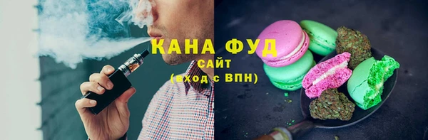 гашик Краснослободск