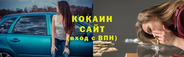 гашик Краснослободск