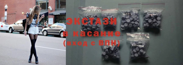 гашик Краснослободск