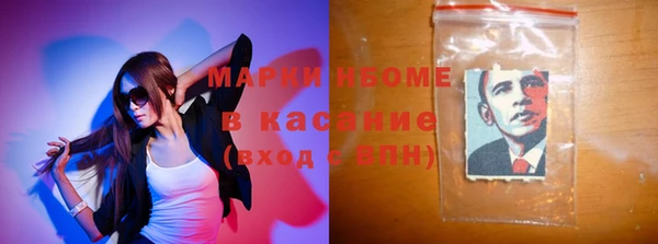 гашик Краснослободск