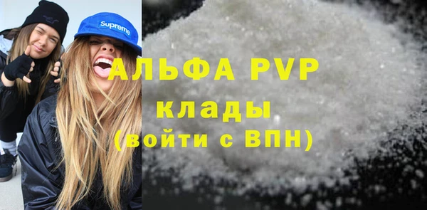 гашик Краснослободск