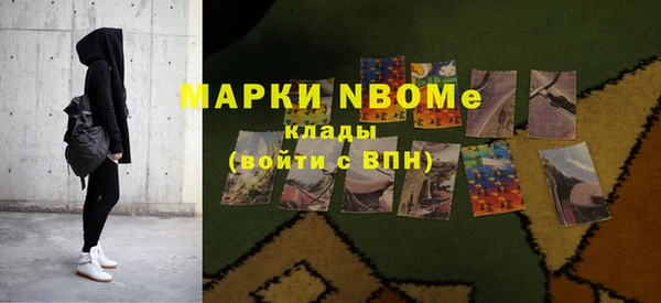 гашик Краснослободск